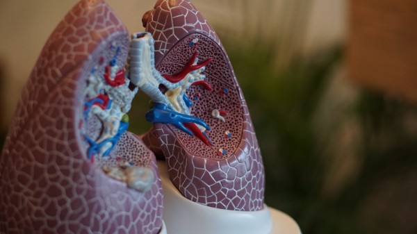 Lung of a Protein so May Boost COVID-19 Immunity