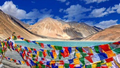 Left Gasping For More in Leh Ladakh