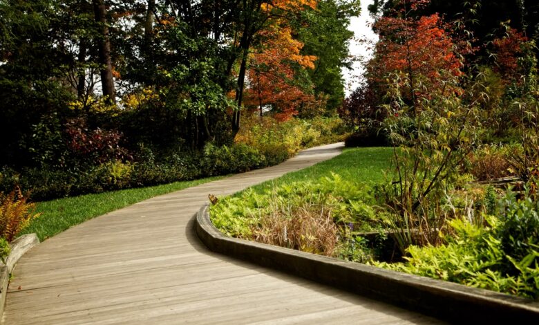 Landscape Architecture